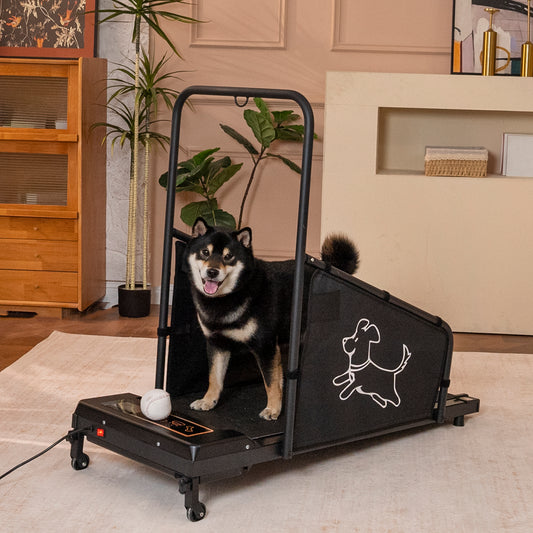 Indoor dog treadmill for medium dogs